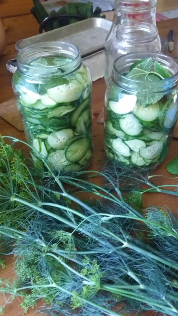 Faire des conserves de pickles avec concombres frais