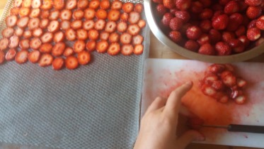 Sécher des rondelles de fraises
